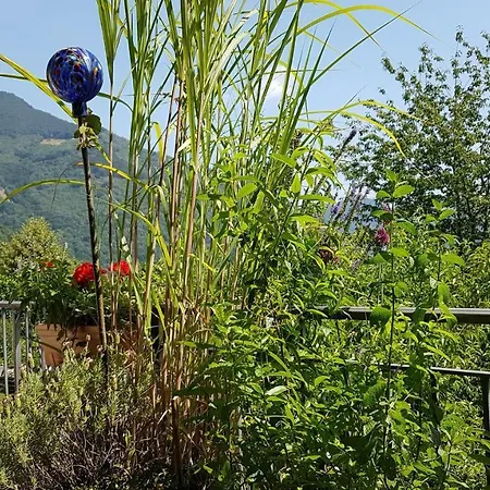 Holiday home Monte Riga Orasso