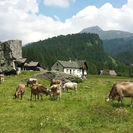Monte Riga *