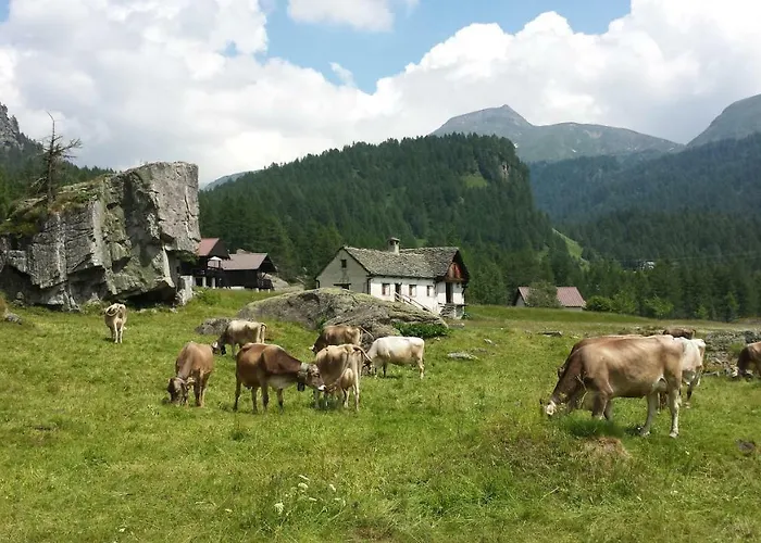 Monte Riga *